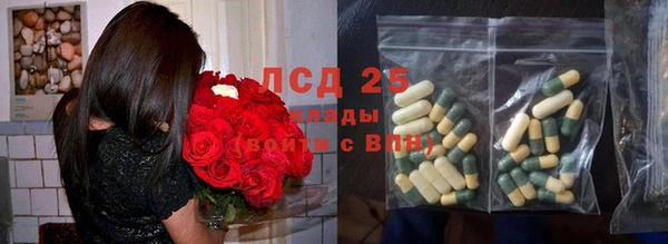 дмт Новозыбков