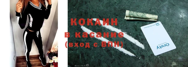 гидра Новодвинск