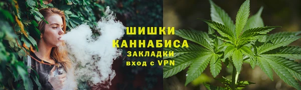гидра Новодвинск