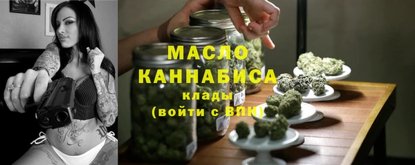 гидра Новодвинск