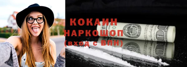 гидра Новодвинск