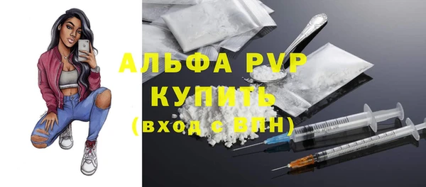 гашик Горняк