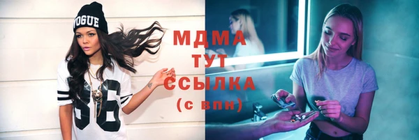 шишки Горно-Алтайск