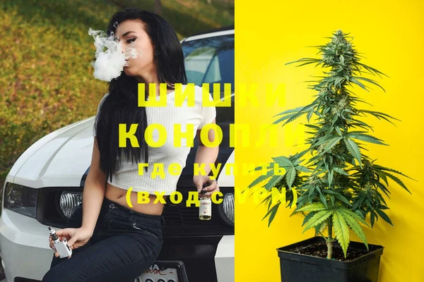 дмт Новозыбков