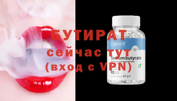 гидра Новодвинск