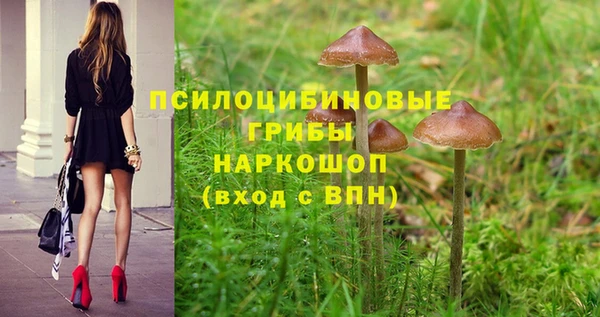 дмт Новозыбков