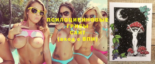 гидра Новодвинск