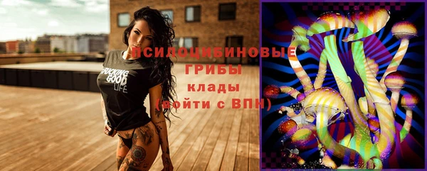 гидра Новодвинск
