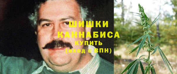дмт Новозыбков