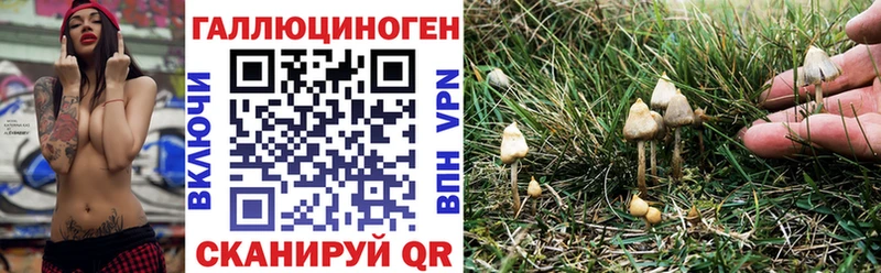 Псилоцибиновые грибы GOLDEN TEACHER  купить   Пролетарск 